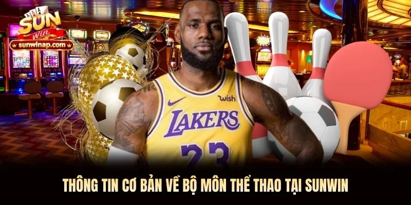 Thông tin cơ bản về bộ môn thể thao tại Sunwin