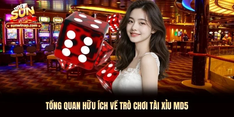 Tổng quan hữu ích về trò chơi Tài Xỉu MD5